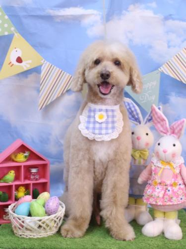 20240302アロマくん